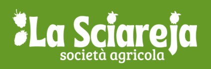 Logo cliente