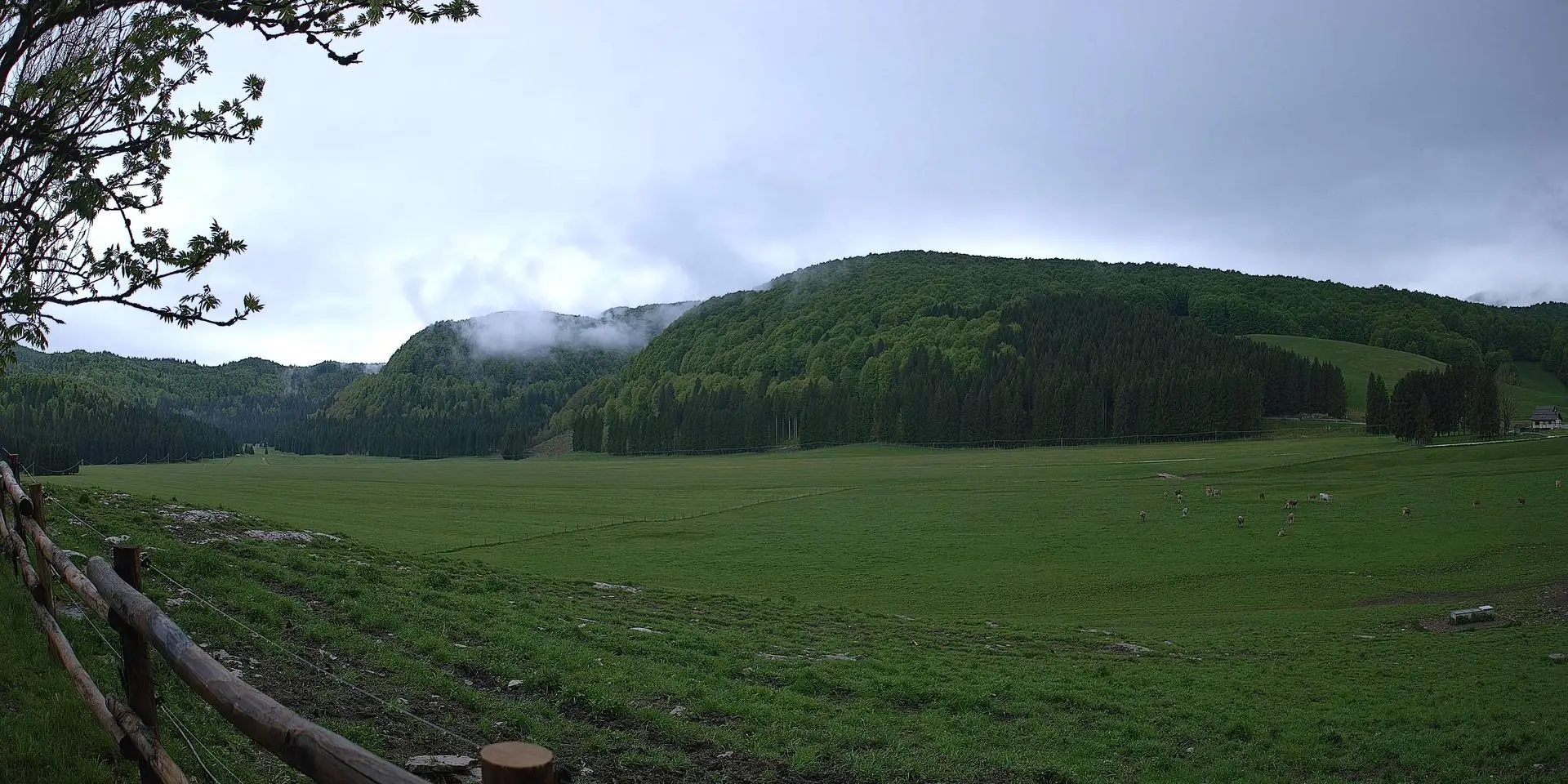 Scatto migliore 2026-05-14-15-00
