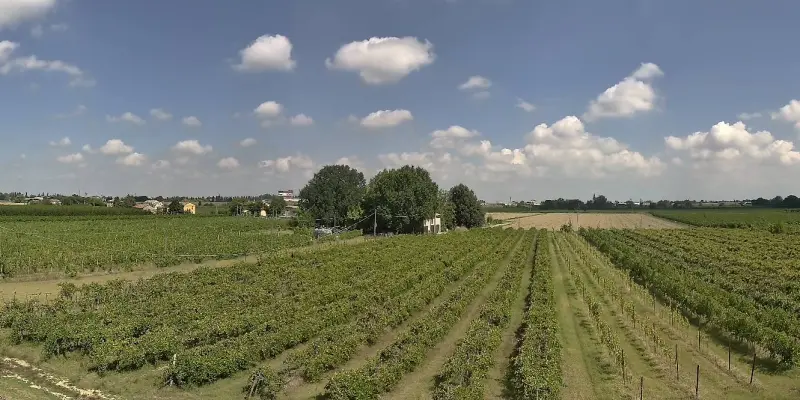 Webcam TLAPSE Boncellino
