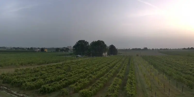 Webcam TLAPSE Boncellino