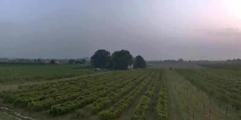 Webcam TLAPSE Boncellino
