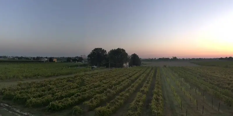 Webcam TLAPSE Boncellino