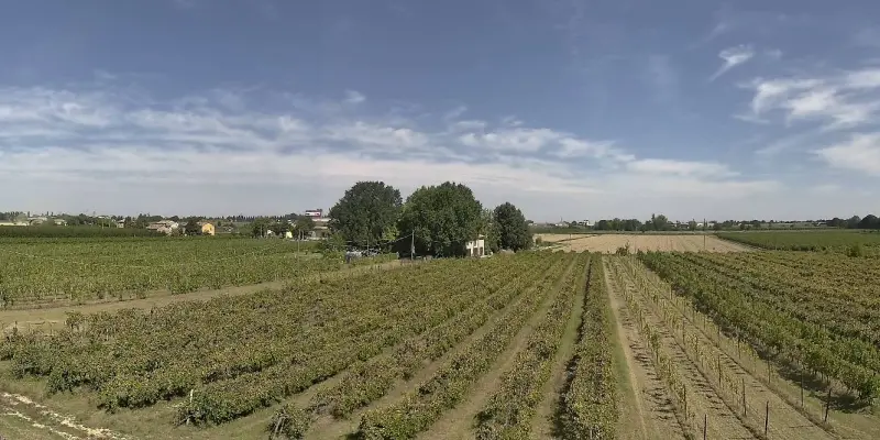 Webcam TLAPSE Boncellino