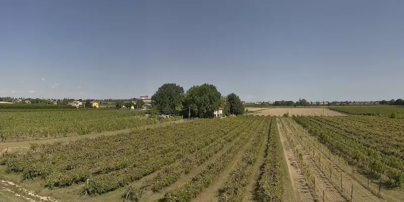 Webcam TLAPSE Boncellino