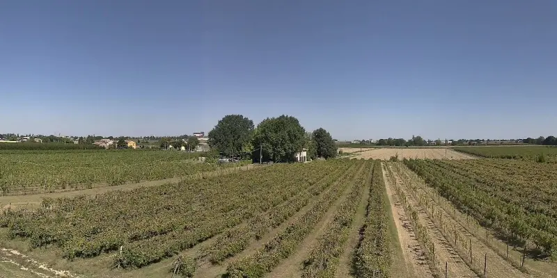 Webcam TLAPSE Boncellino