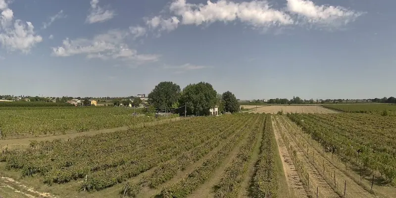 Webcam TLAPSE Boncellino
