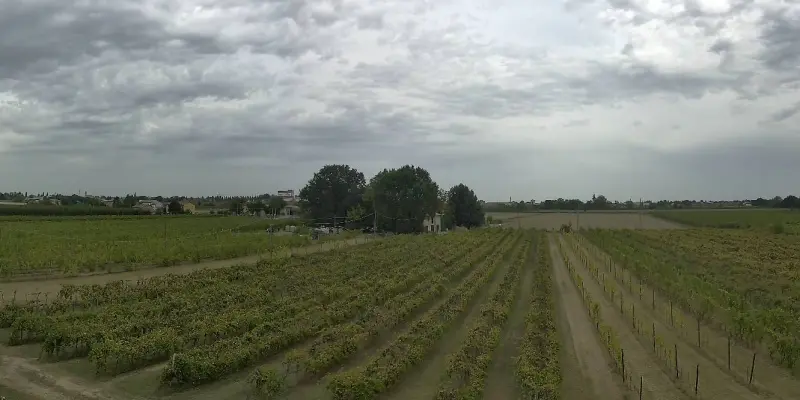 Webcam TLAPSE Boncellino