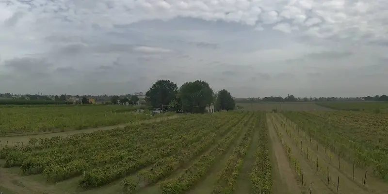 Webcam TLAPSE Boncellino