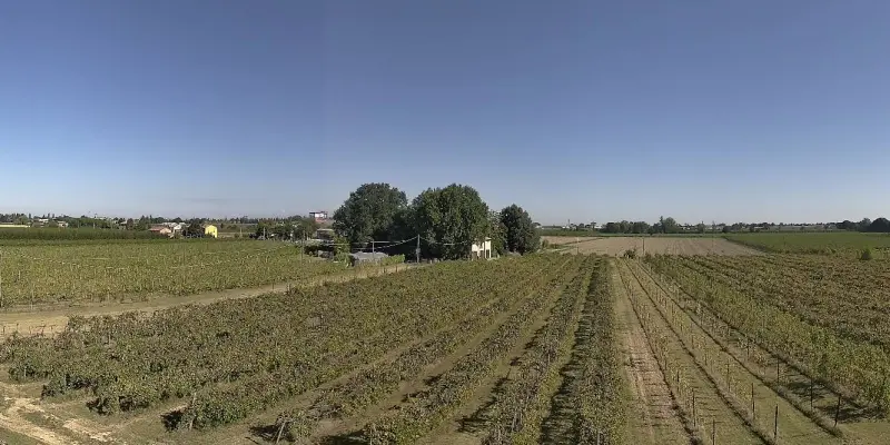 Webcam TLAPSE Boncellino