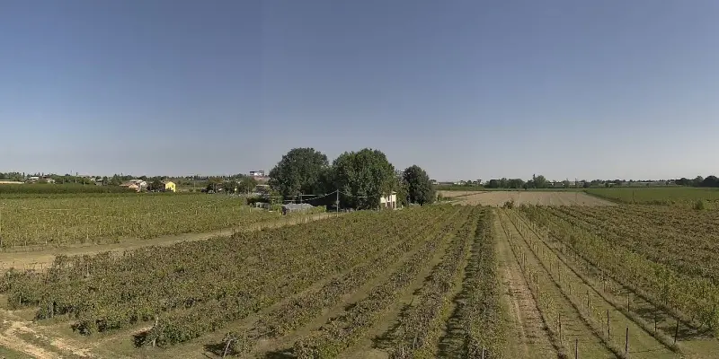 Webcam TLAPSE Boncellino