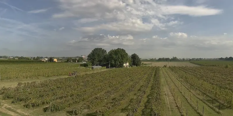 Webcam TLAPSE Boncellino