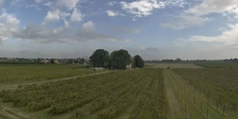 Webcam TLAPSE Boncellino