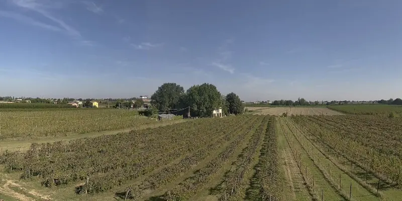 Webcam TLAPSE Boncellino