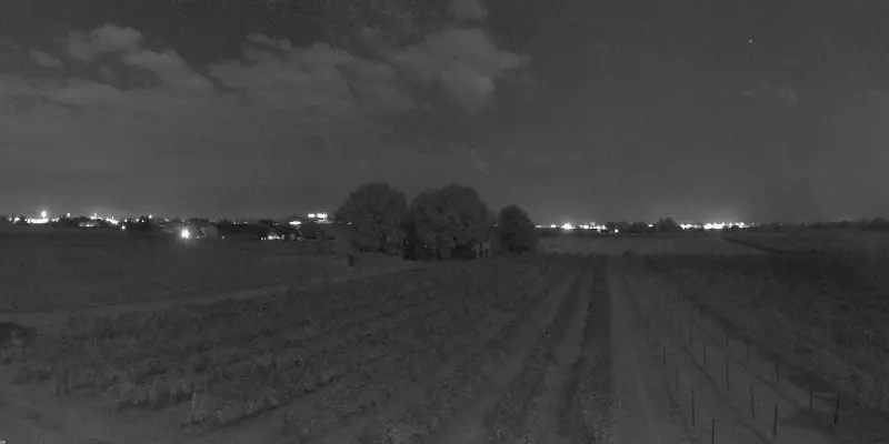 Webcam TLAPSE Boncellino