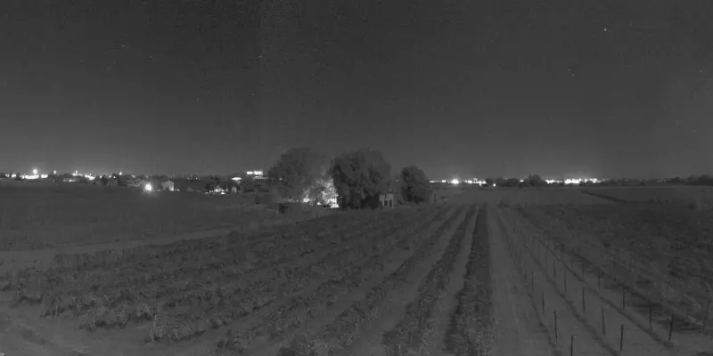 Webcam TLAPSE Boncellino