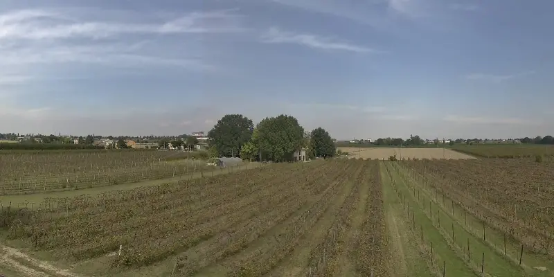 Webcam TLAPSE Boncellino