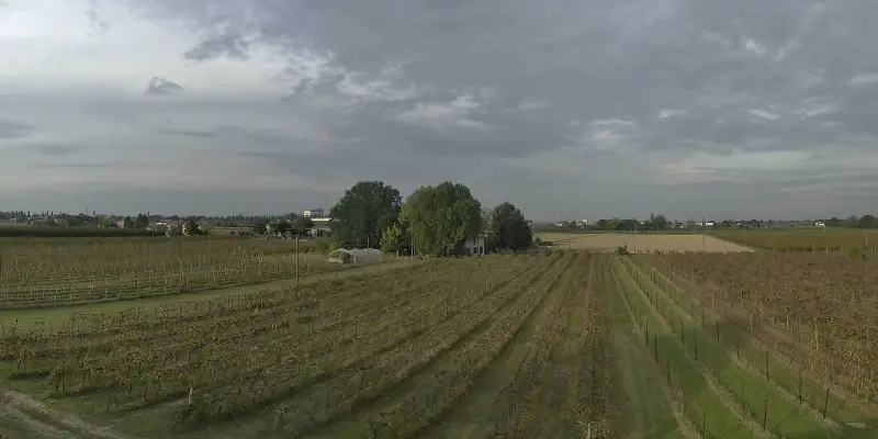 Webcam TLAPSE Boncellino