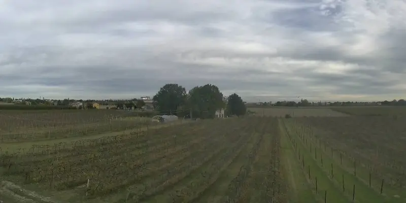 Webcam TLAPSE Boncellino