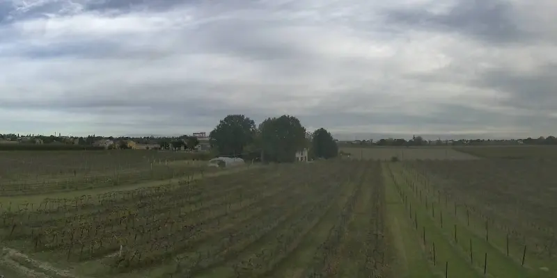 Webcam TLAPSE Boncellino
