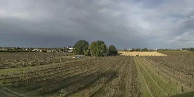 Anteprima webcam Boncellino
