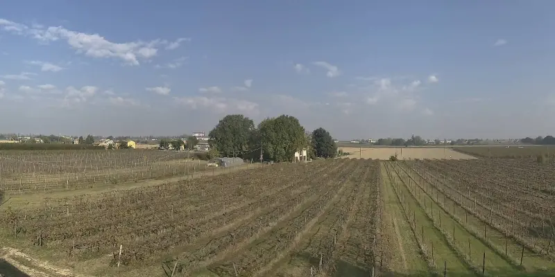Webcam TLAPSE Boncellino