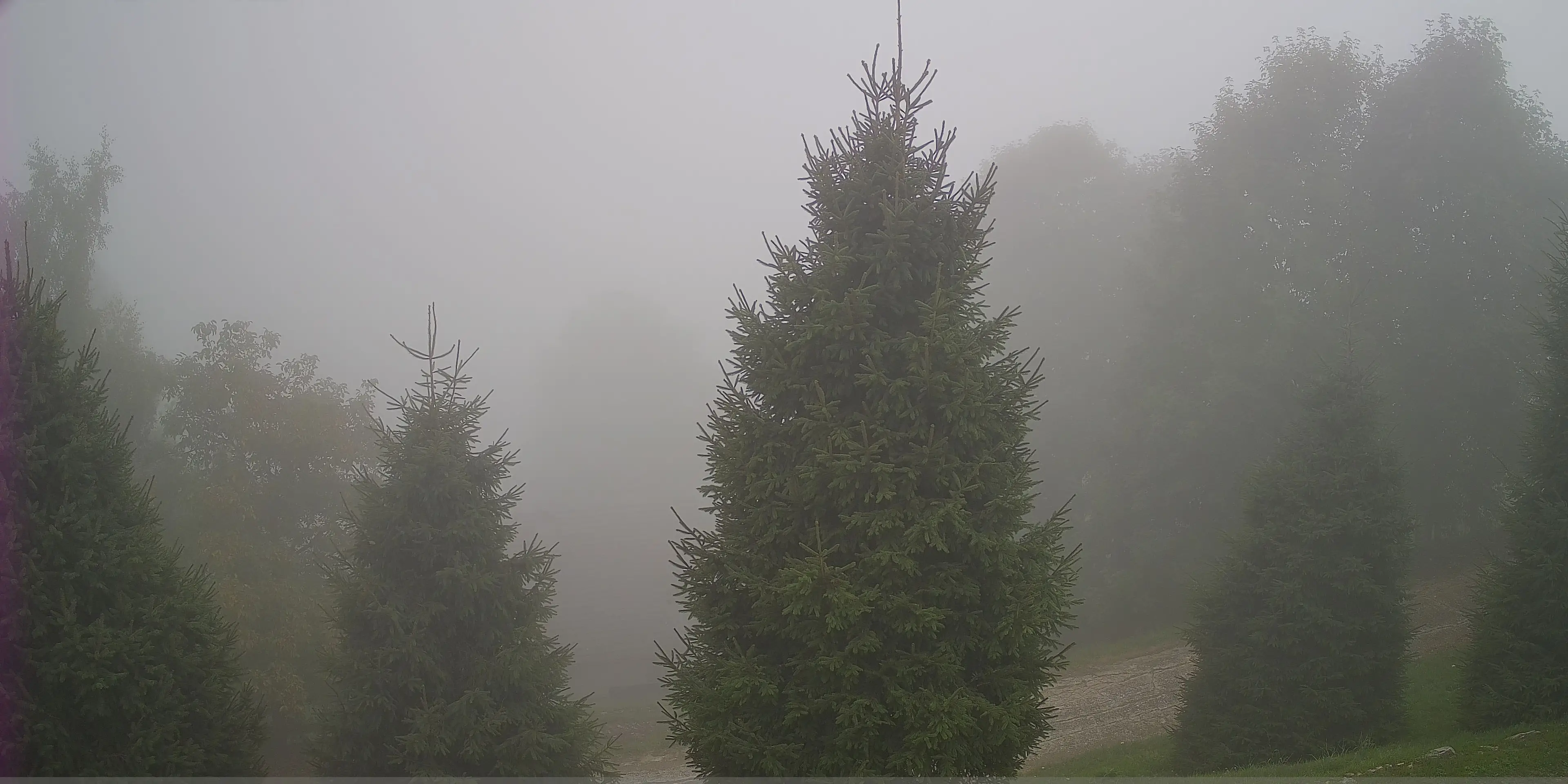 Webcam Finestron Veneto in diretta