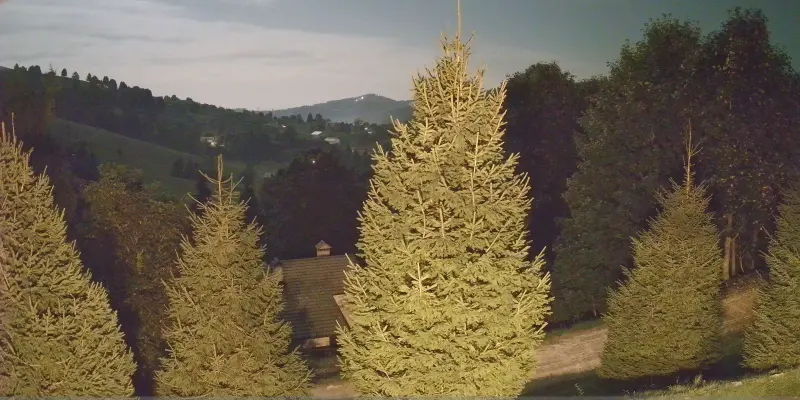 Webcam TLAPSE Finestron