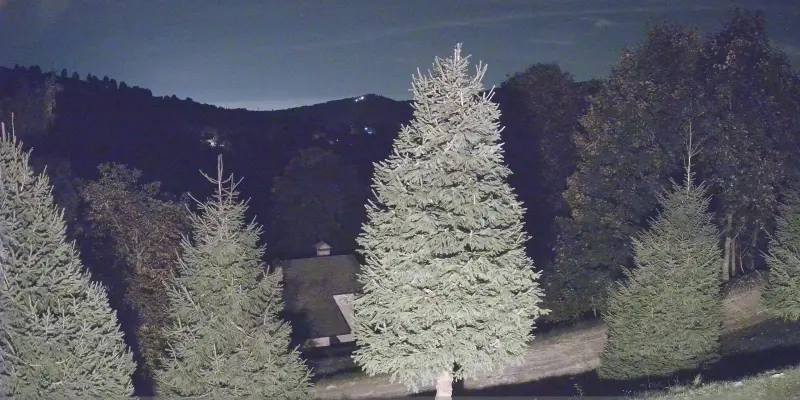 Webcam TLAPSE Finestron