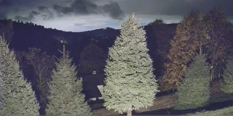 Webcam TLAPSE Finestron