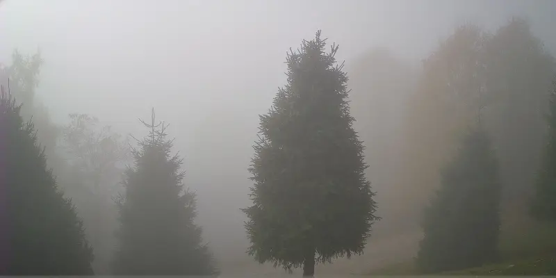 Webcam TLAPSE Finestron