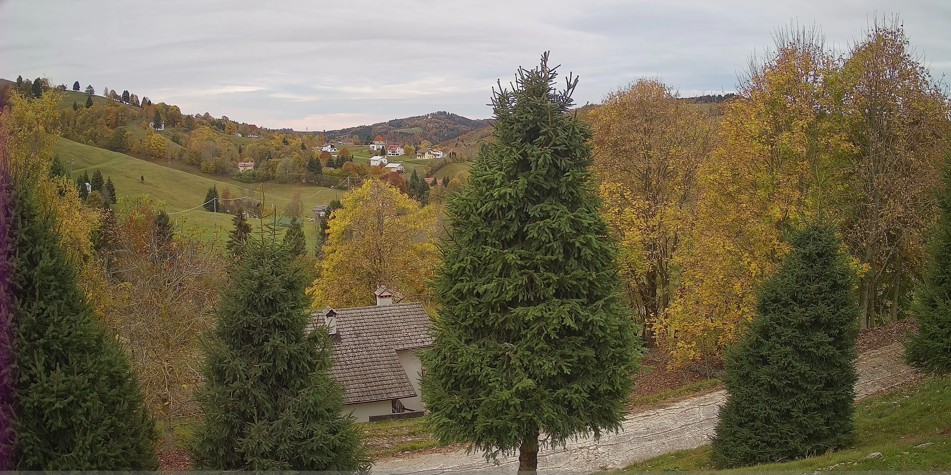 Webcam Finestron Veneto in diretta