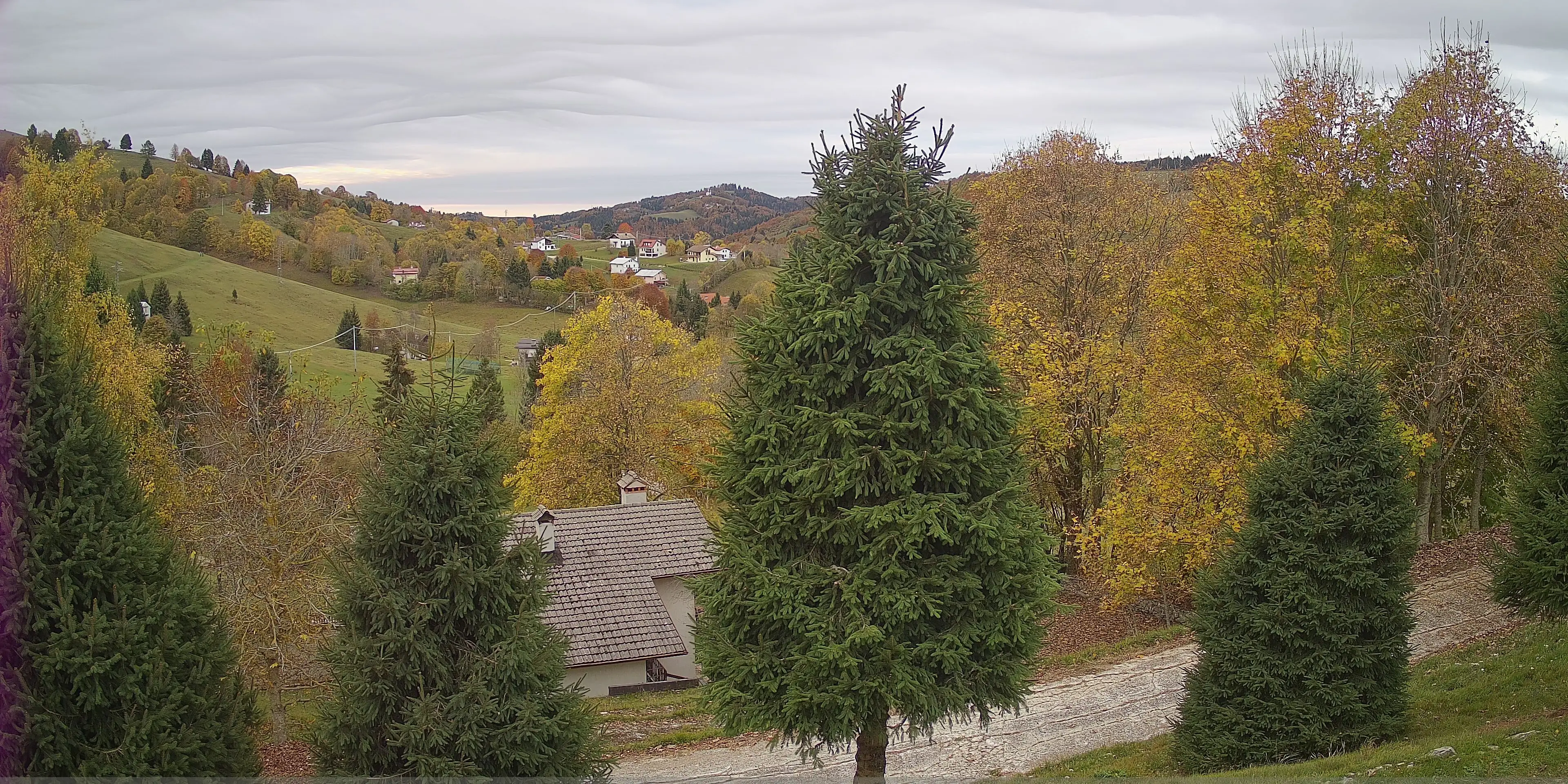 Webcam Finestron Veneto in diretta