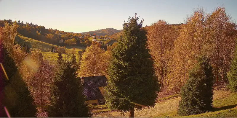 Webcam TLAPSE Finestron