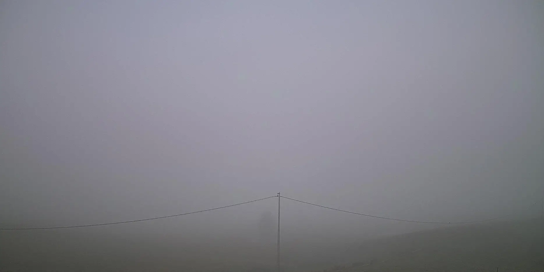Webcam Pian del Cansiglio Veneto in diretta