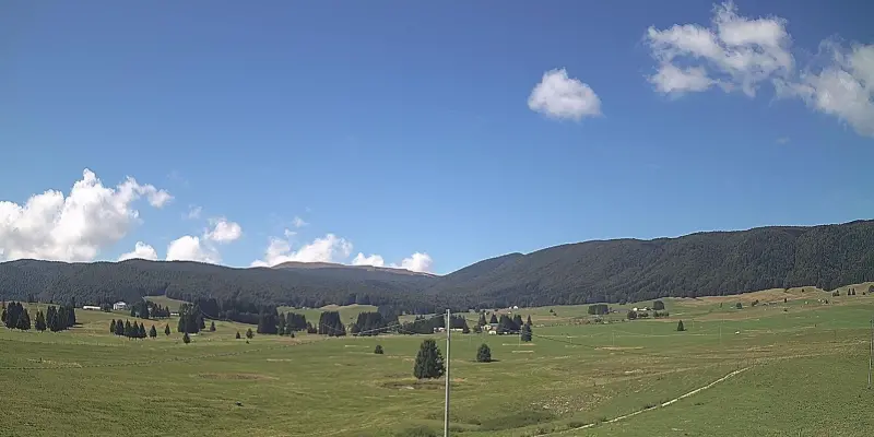 Webcam TLAPSE Pian del Cansiglio