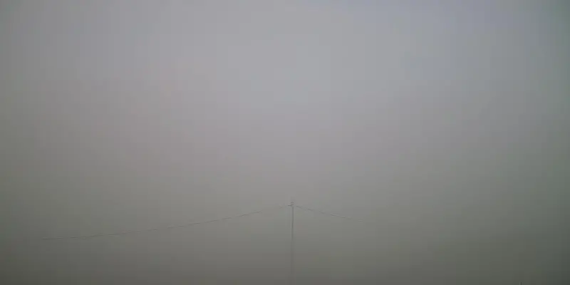 Webcam TLAPSE Pian del Cansiglio