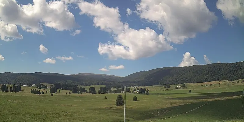 Webcam TLAPSE Pian del Cansiglio