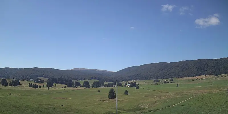 Webcam TLAPSE Pian del Cansiglio