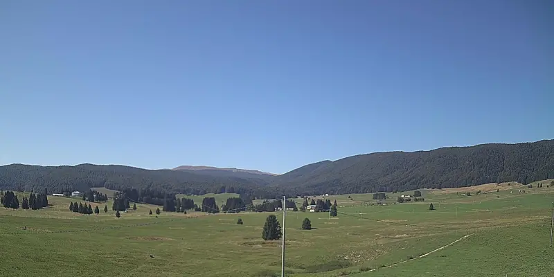 Webcam TLAPSE Pian del Cansiglio