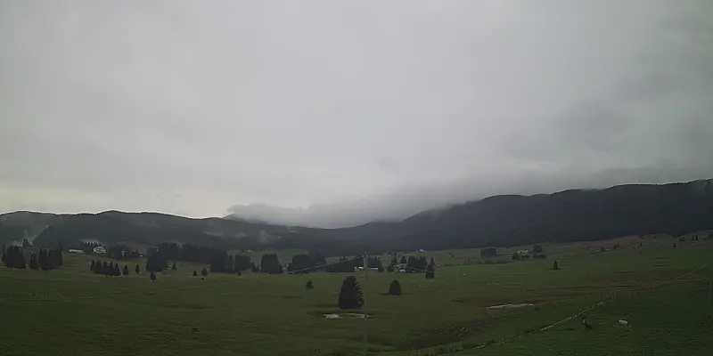 Webcam TLAPSE Pian del Cansiglio