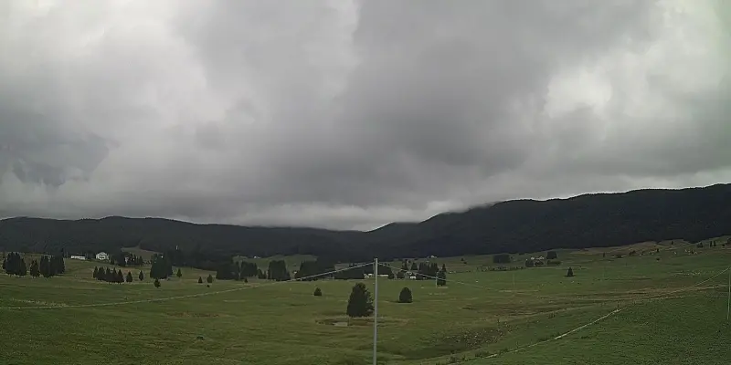 Webcam TLAPSE Pian del Cansiglio