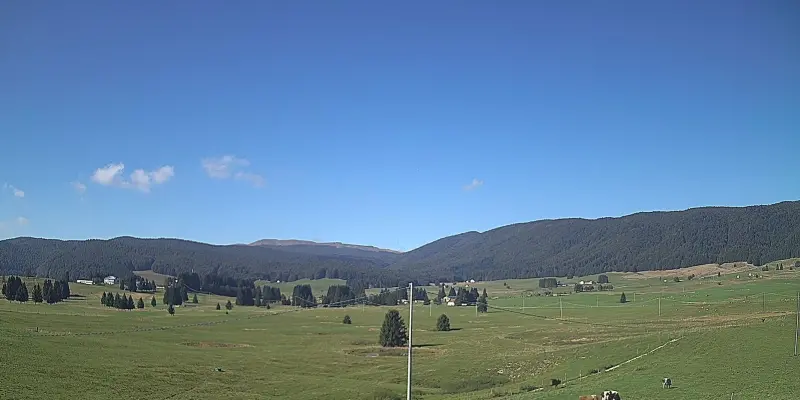 Webcam TLAPSE Pian del Cansiglio