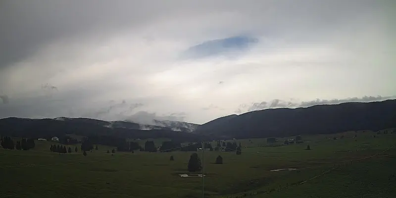 Webcam TLAPSE Pian del Cansiglio