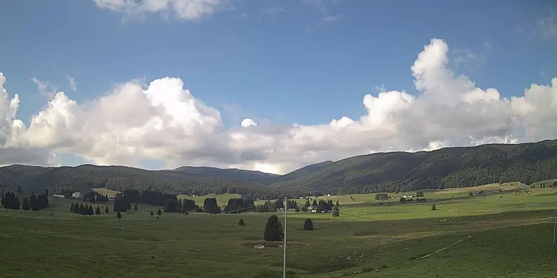 Webcam TLAPSE Pian del Cansiglio