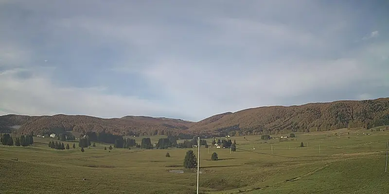 Webcam TLAPSE Pian del Cansiglio