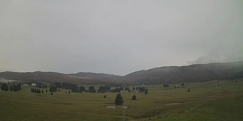 Webcam TLAPSE Pian del Cansiglio