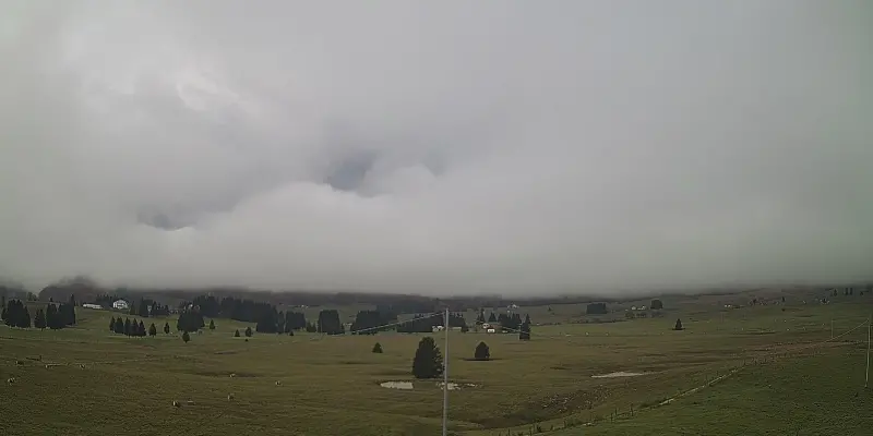Webcam TLAPSE Pian del Cansiglio