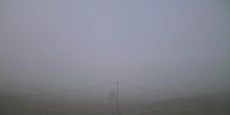 Webcam TLAPSE Pian del Cansiglio
