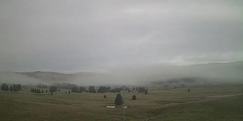 Webcam TLAPSE Pian del Cansiglio