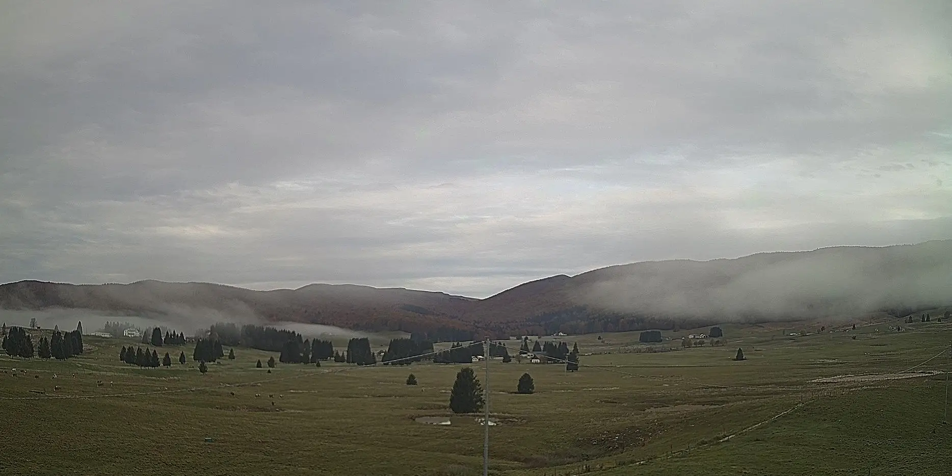 Webcam Pian del Cansiglio Veneto in diretta
